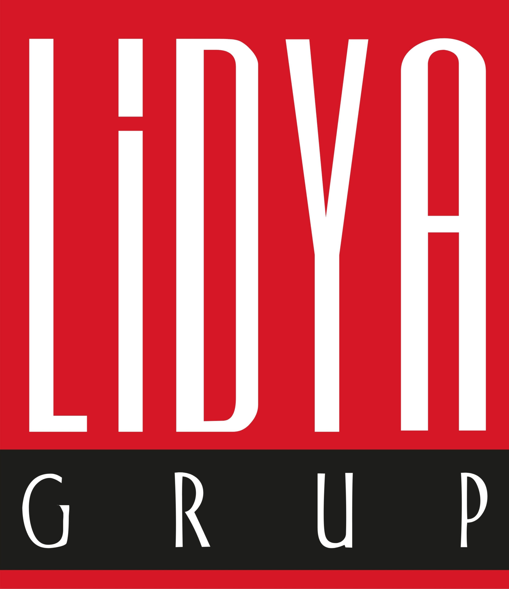 Lidya Grup